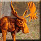 Animal Carving Gallery